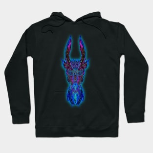 Capricorn 5c Amethyst Hoodie